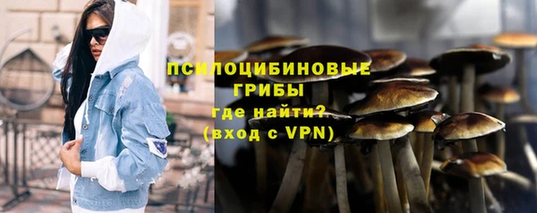 ГАЛЛЮЦИНОГЕННЫЕ ГРИБЫ Балахна
