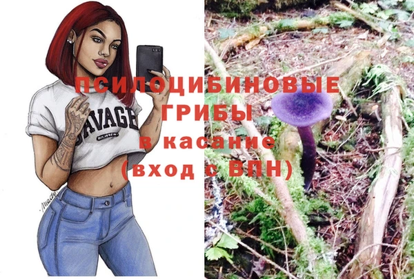ешки Аркадак