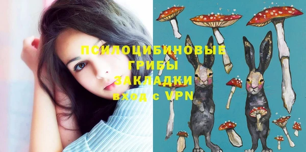 mdpv Арсеньев