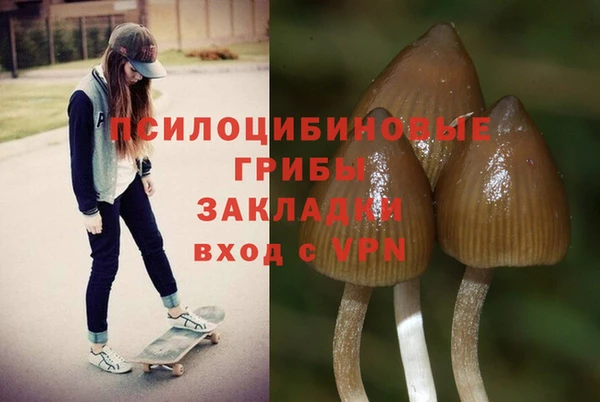 бутират Армянск
