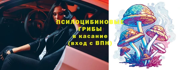 ГАЛЛЮЦИНОГЕННЫЕ ГРИБЫ Балахна