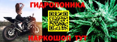 МДПВ Пенза