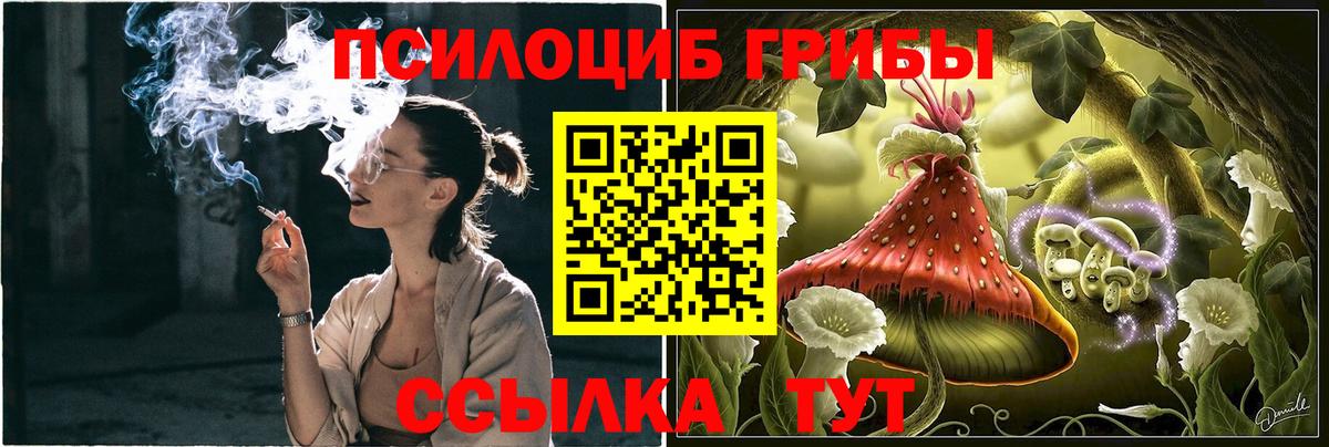 Галлюциногенные грибы GOLDEN TEACHER Барабинск